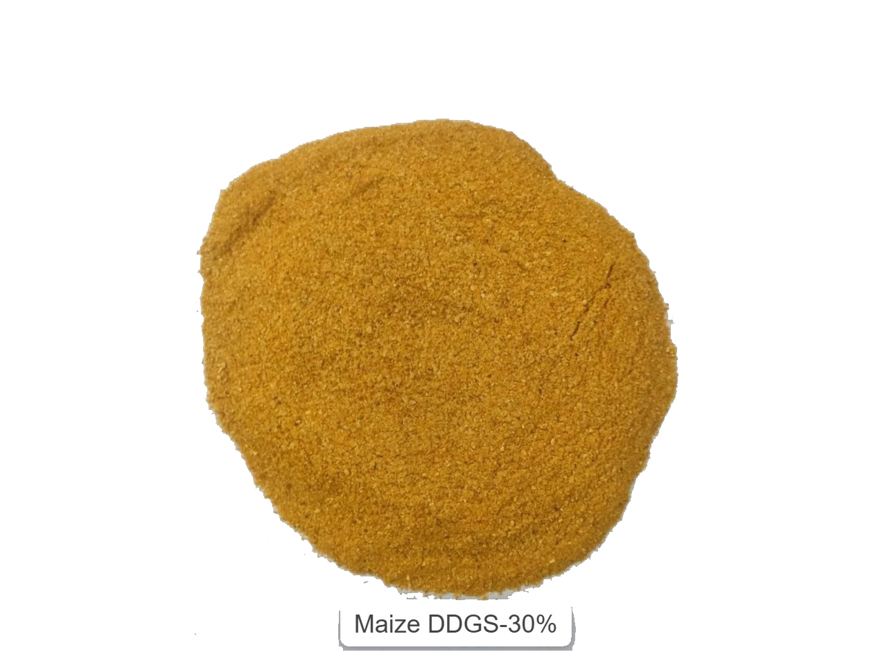 Maize DDGS 30%